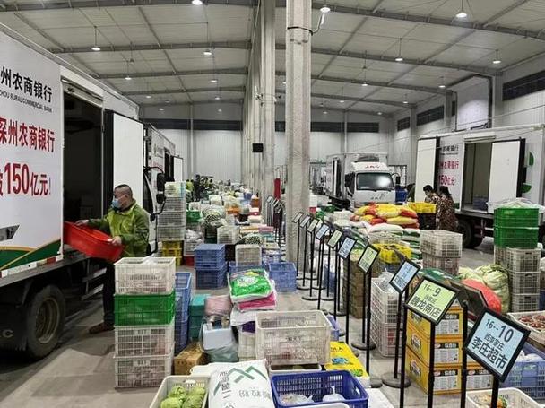 車水馬龍里的溫情——食品配送一線的觀察與思考